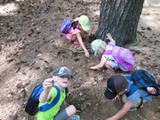 Celodenní výlet na Zámek Loučeň